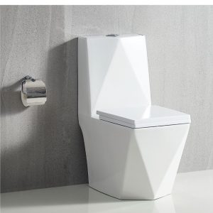 Diamond Executive Water Closet in White - Model BT-CC23