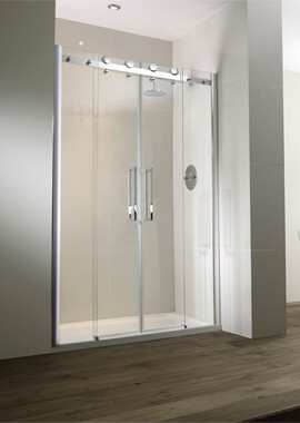 100cm Shower Door - Model P04