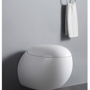 Super Executive Conduit Toilet - Model BT365-TCT4