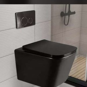 Black Conduit Water Closet - Model BT365-TCT2