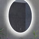 Oval LED Mirror with Multi-Color Options