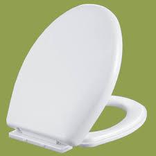 Soft-Close Toilet Seat Cover - Model P12